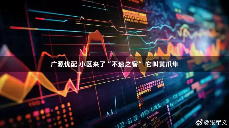 广源优配 小区来了“不速之客” 它叫黄爪隼