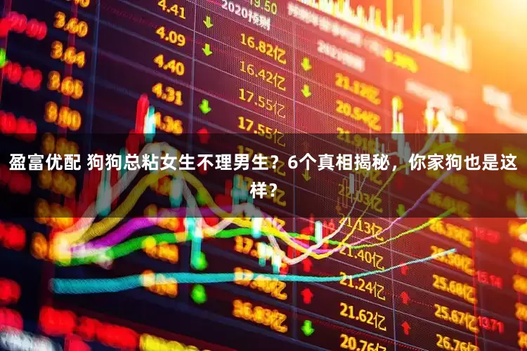 盈富优配 狗狗总粘女生不理男生？6个真相揭秘，你家狗也是这样？