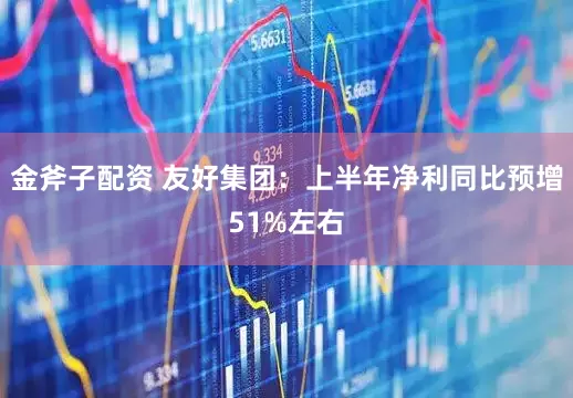 金斧子配资 友好集团：上半年净利同比预增51%左右