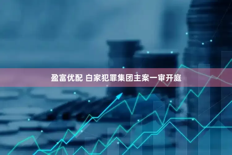 盈富优配 白家犯罪集团主案一审开庭