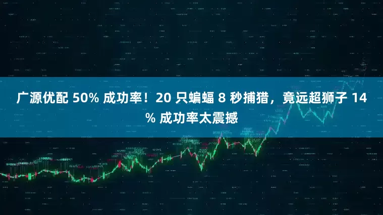 广源优配 50% 成功率!20 只蝙蝠 8 秒捕猎,竟远超狮子 14% 成功率太震撼